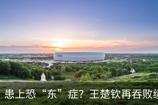 患上恐“东”症？王楚钦再吞败绩直言对发挥不满 场边若有所思显沮丧